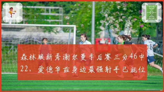 森林狼新秀谢尔曼季后赛三分46中22,爱德华兹身边最强射手已就位