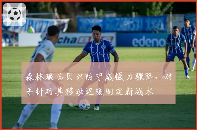 森林狼戈贝尔防守威慑力骤降，对手针对其移动迟缓制定新战术