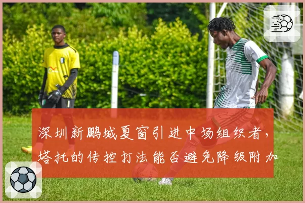 深圳新鹏城夏窗引进中场组织者，塔托的传控打法能否避免降级附加赛命运？
