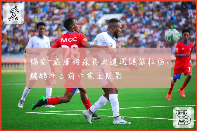 锡安-威廉姆森再次遭遇腿筋拉伤,鹈鹕冲击前六蒙上阴影