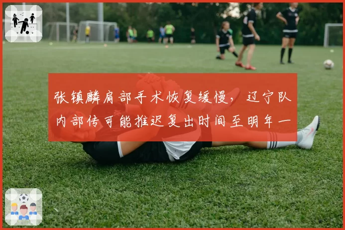 张镇麟肩部手术恢复缓慢，辽宁队内部传可能推迟复出时间至明年一月