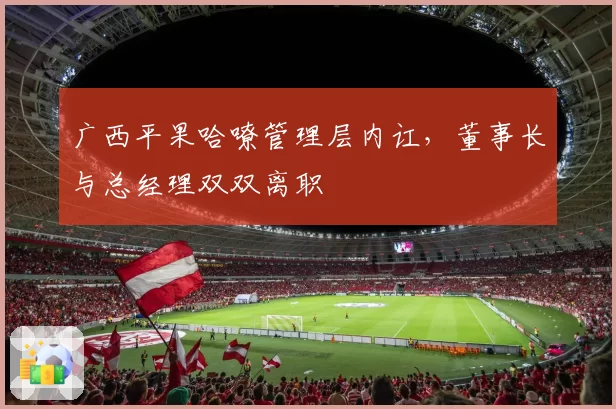 广西平果哈嘹管理层内讧，董事长与总经理双双离职