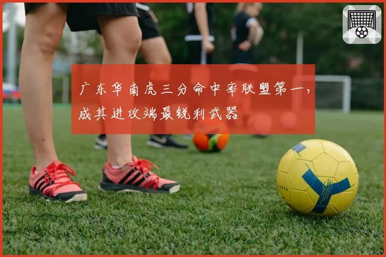 广东华南虎三分命中率联盟第一，成其进攻端最锐利武器