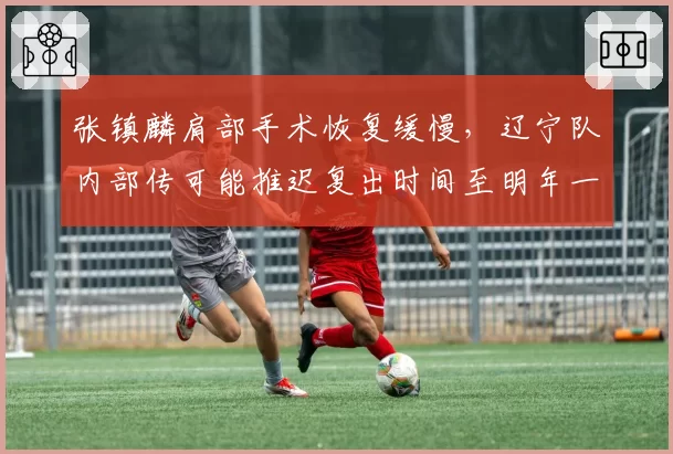 张镇麟肩部手术恢复缓慢，辽宁队内部传可能推迟复出时间至明年一月