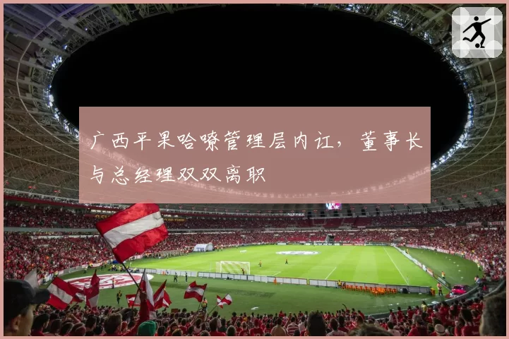 广西平果哈嘹管理层内讧，董事长与总经理双双离职